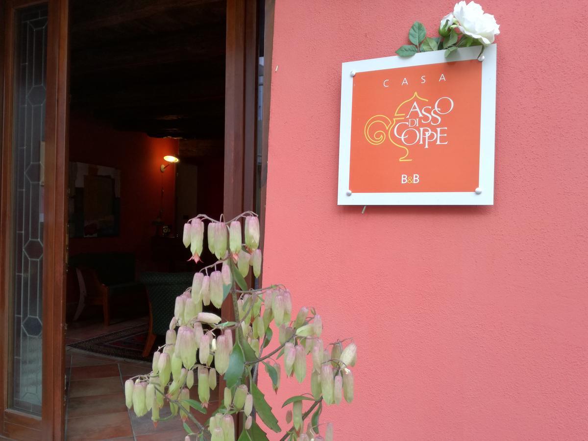 Casa Asso Di Coppe B&B Alba  Exterior foto